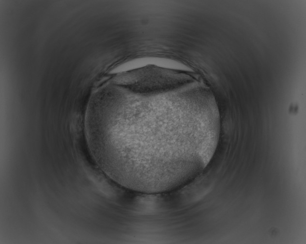 X0000091530079200708311319
