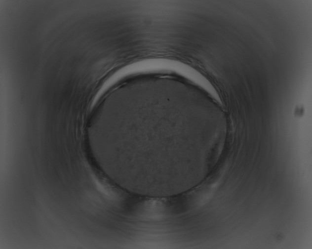 X0000091530080200708311319