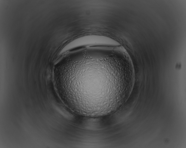 X0000091530081200708311319