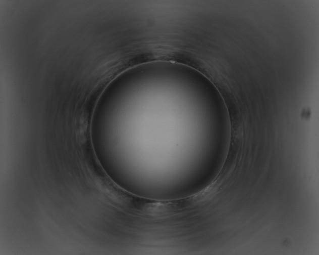 X0000091530082200708311319