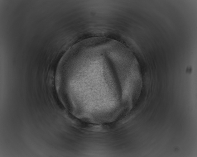 X0000091530083200708311319