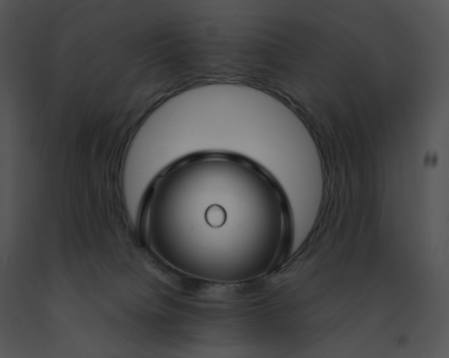 X0000091530084200708311319