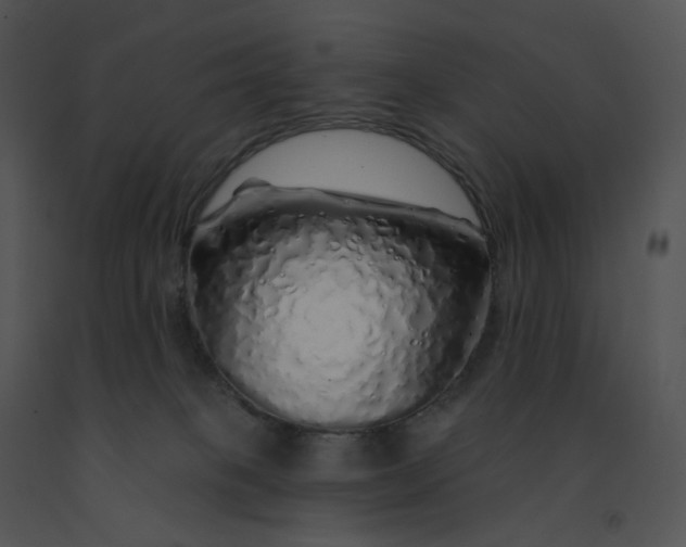 X0000091530085200708311319