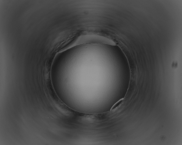 X0000091530086200708311319