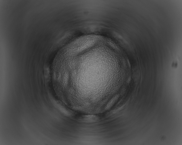 X0000091530087200708311319