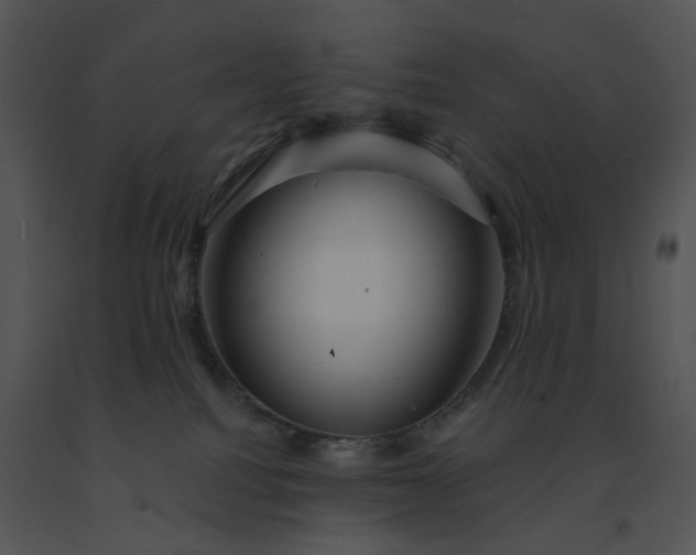 X0000091530088200708311319