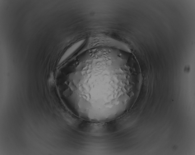 X0000091530089200708311319