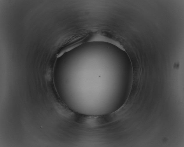 X0000091530090200708311320