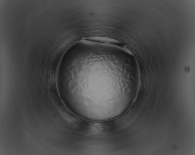 X0000091530091200708311320