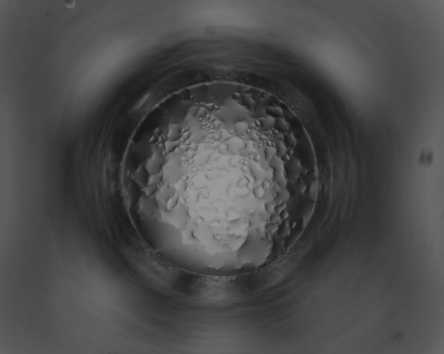 X0000091530093200708311320