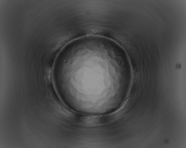 X0000091530094200708311320