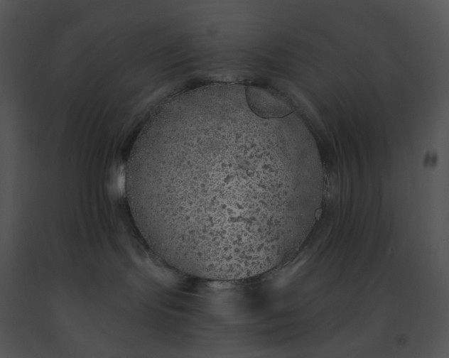 X0000091530095200708311320