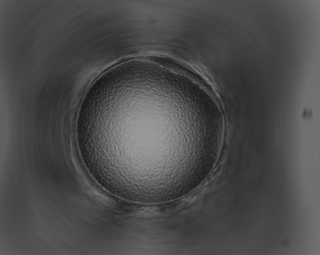 X0000091530097200708311319