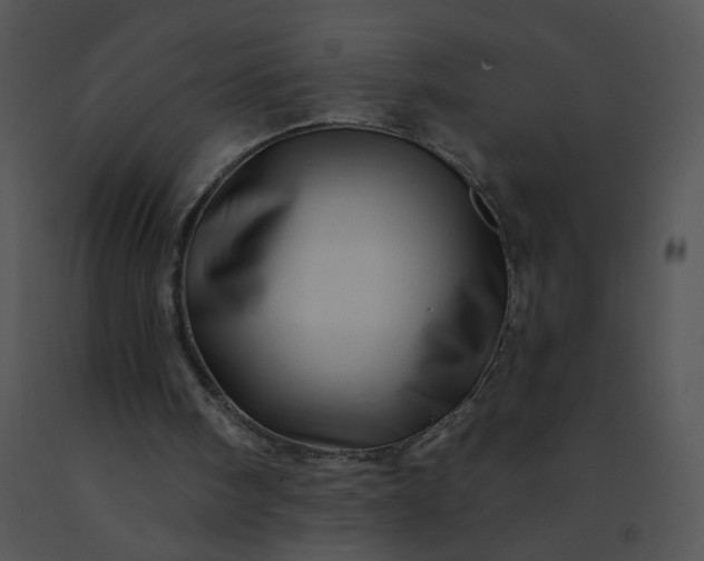 X0000091530098200708311319