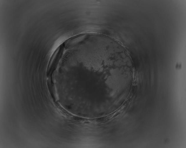 X0000091530099200708311319