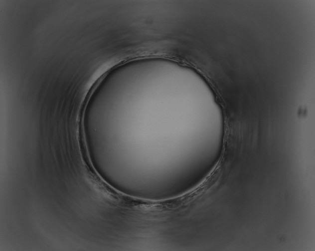 X0000091530100200708311319