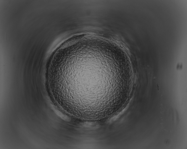 X0000091530101200708311319