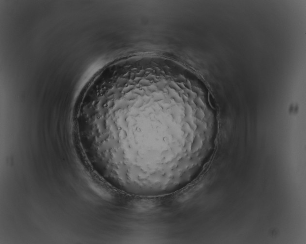 X0000091530102200708311319