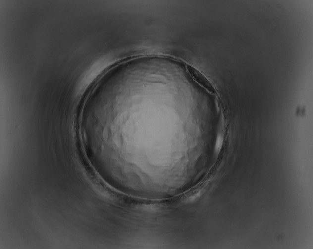 X0000091530103200708311319