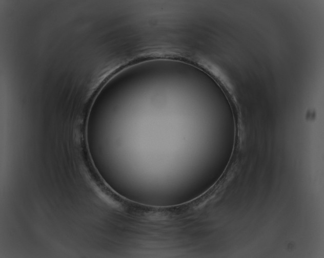 X0000091530105200708311319