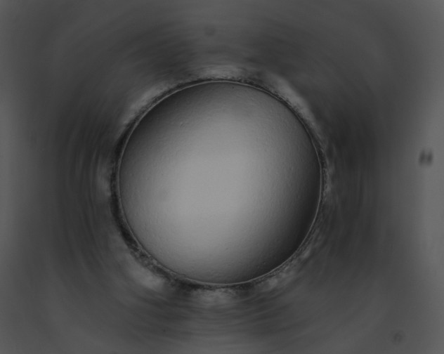 X0000091530106200708311319