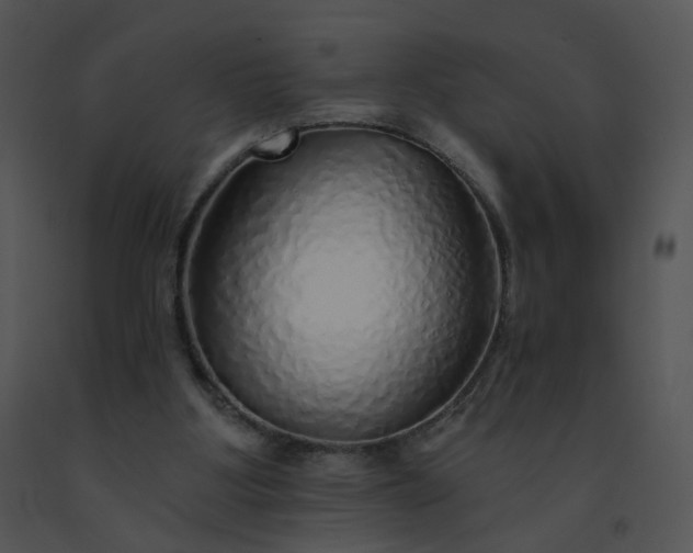 X0000091530107200708311319