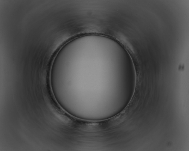 X0000091530108200708311319