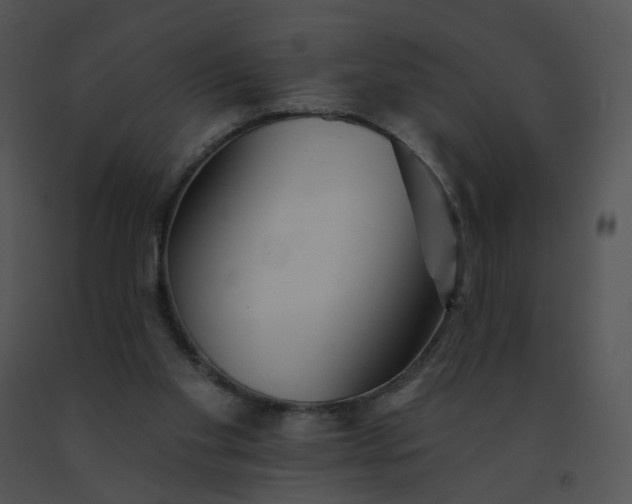 X0000091530109200708311319