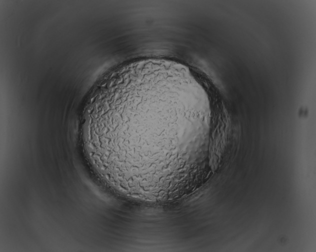 X0000091530110200708311319