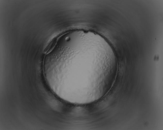 X0000091530111200708311319