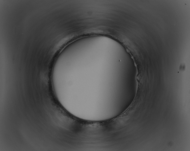 X0000091530112200708311319