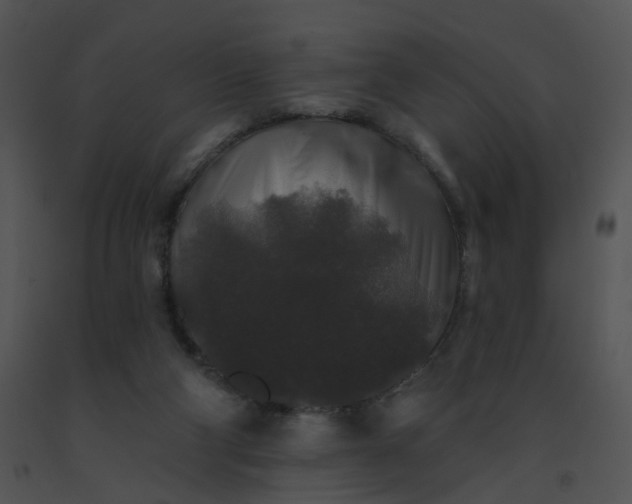 X0000091530114200708311319
