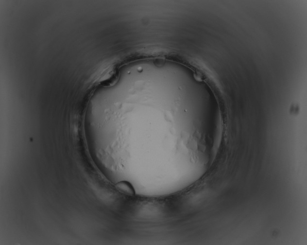 X0000091530115200708311319