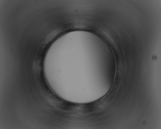 X0000091530116200708311319