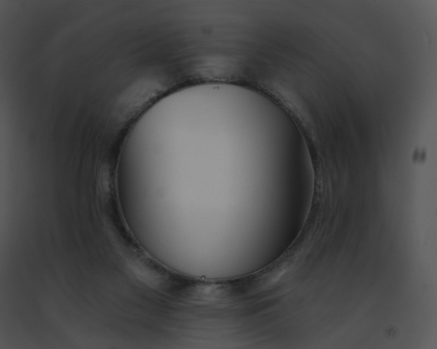 X0000091530117200708311319