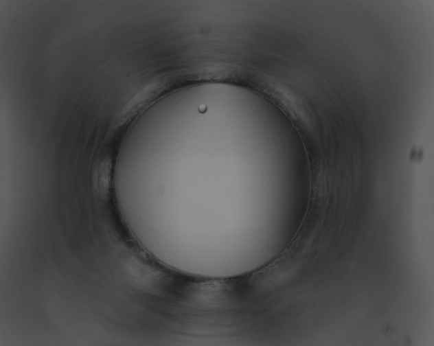 X0000091530118200708311319