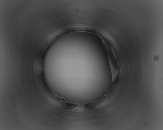 X0000091530119200708311319