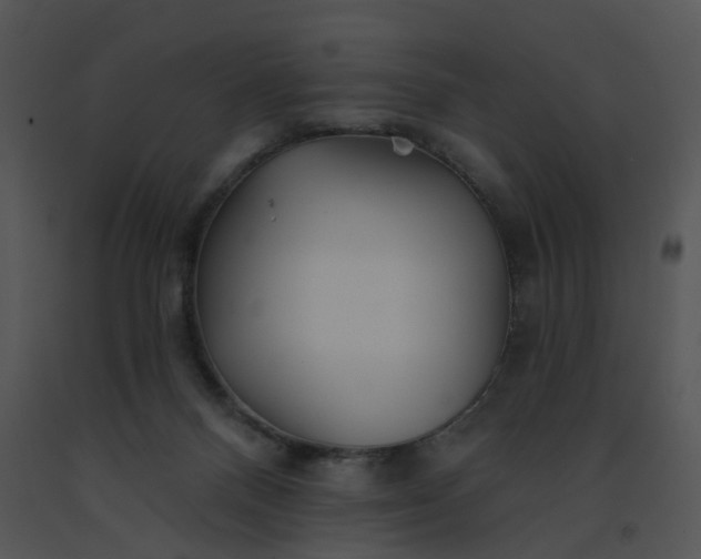 X0000091530120200708311319