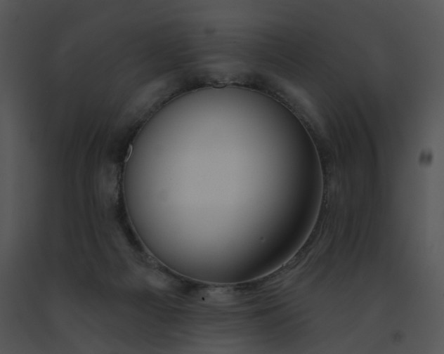 X0000091530121200708311319