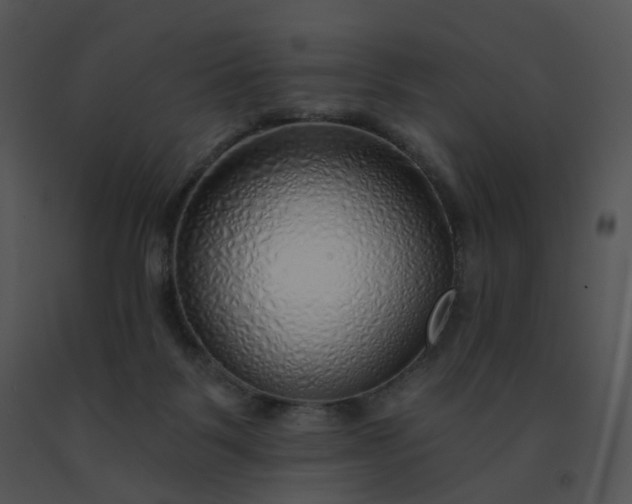 X0000091530123200708311319