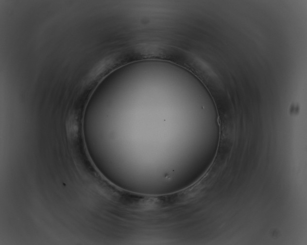 X0000091530124200708311319
