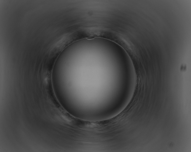 X0000091530125200708311319