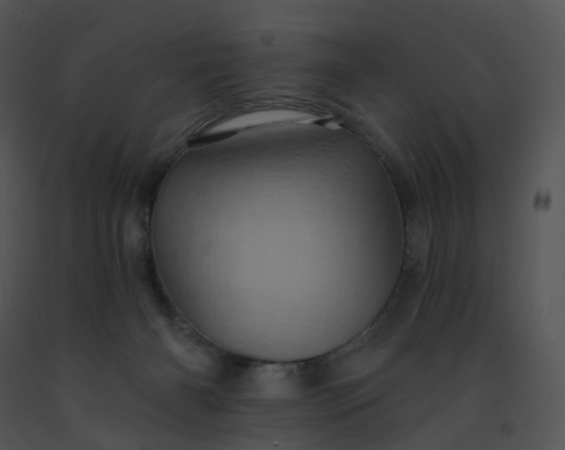 X0000091530126200708311319