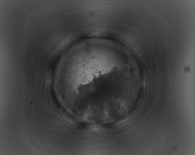 X0000091530127200708311319