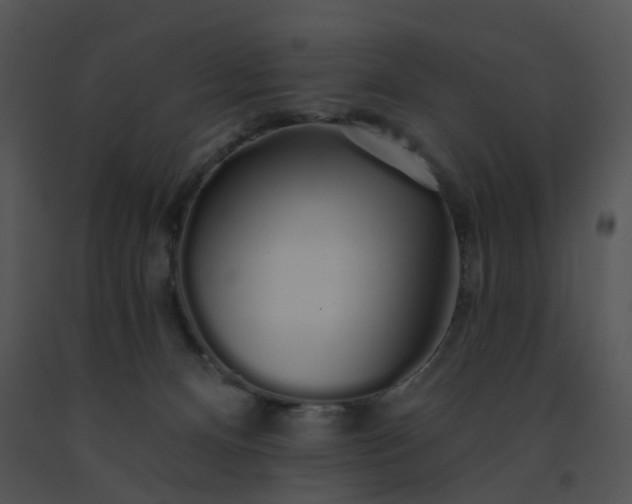 X0000091530128200708311319