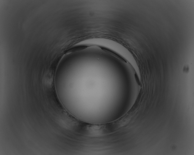 X0000091530129200708311319