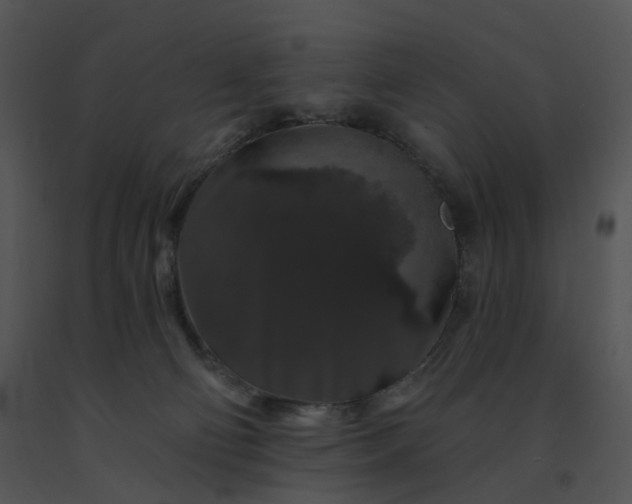 X0000091530130200708311319
