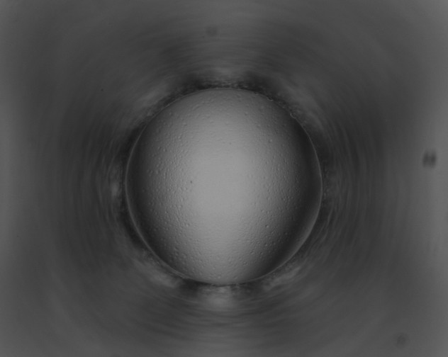 X0000091530131200708311319