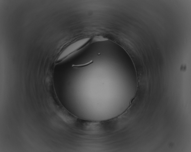 X0000091530132200708311319