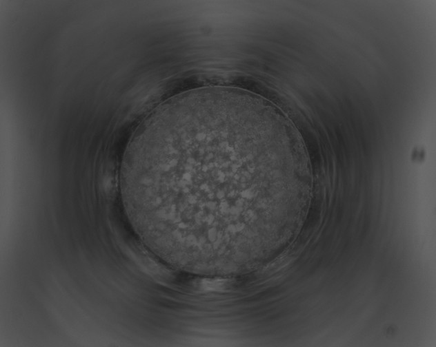 X0000091530134200708311319